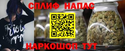 стаф Малоярославец