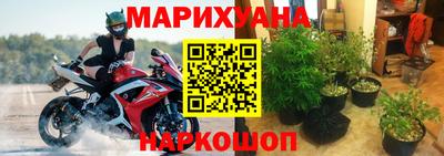 стаф Малгобек