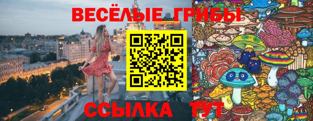 Псилоцибиновые грибы GOLDEN TEACHER  Вход с VPN  Дивногорск  Галлюциногенные грибы ЛСД 