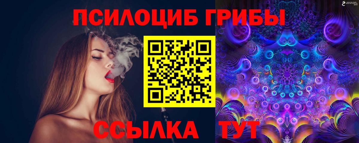 Псилоцибиновые грибы Cubensis Дивногорск